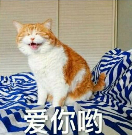 不用信小呆太阳百货这里也有福利锦鲤