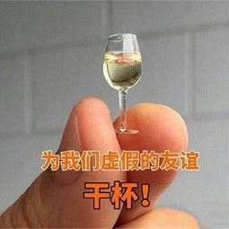 干杯表情包友谊