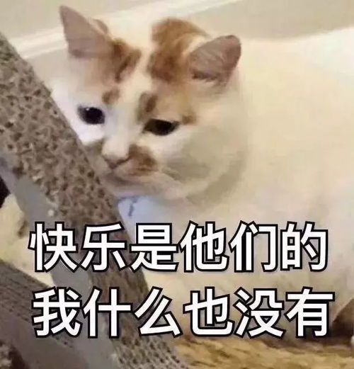 最受潮男们欢迎的清凉发型我选寸头