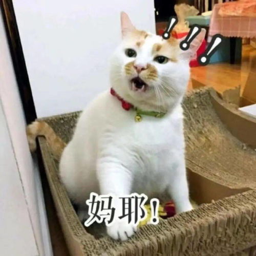 热门歌星李荣浩们的汕尾行,周六浙江卫视首播