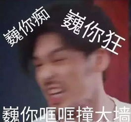 镇魂男孩白宇朱一龙的相爱相杀,芒果梗,毛猴梗直击人心