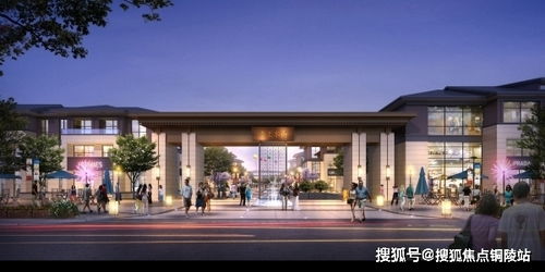 嘉善大云云湖十里澜庭为什么吸引这么多人过来哄抢真相究竟怎样