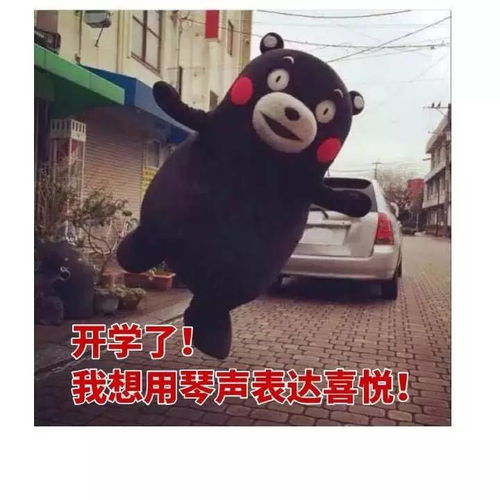 福利练琴表情包大赠送,无水印一
