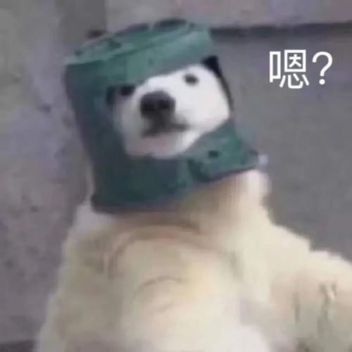 家花不如野花香哈皇被爆去piao娼小虎前女友大爆料好多战队都这样