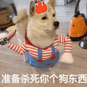 沙雕狗表情包