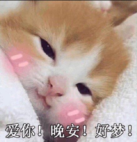 晚安表情包我要睡了,你要给我说晚安