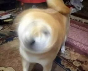 必选因为这首歌,送你一张18亿票房的电影票