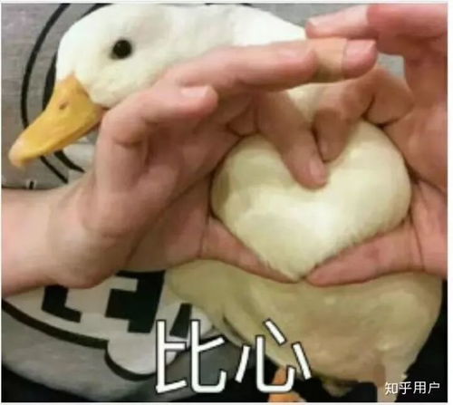 心宇小丑恐惧症