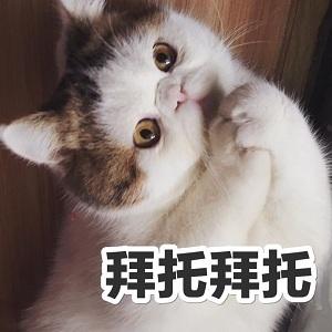 胖猫咪表情包这不是胖,这是幸福肉