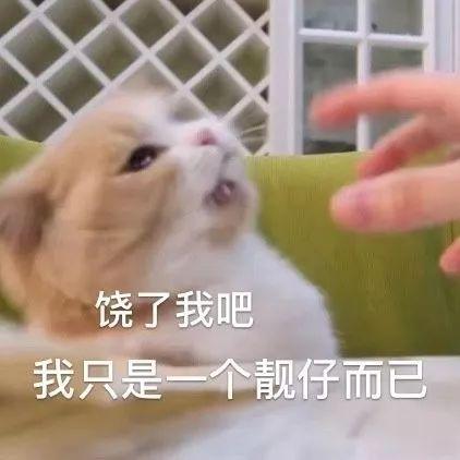 幽默笑话你先别下水,太危险,我去给你租个花圈