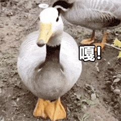 秀翻全场的低情商vs高情商