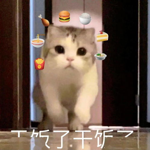 沙雕表情为什么要这样对我我还是个宝宝