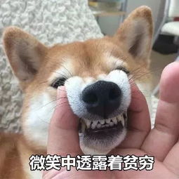 水果比肉贵宁德水果市场涨声一片,统计局这样回应...