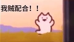eveonecat表情包有吗