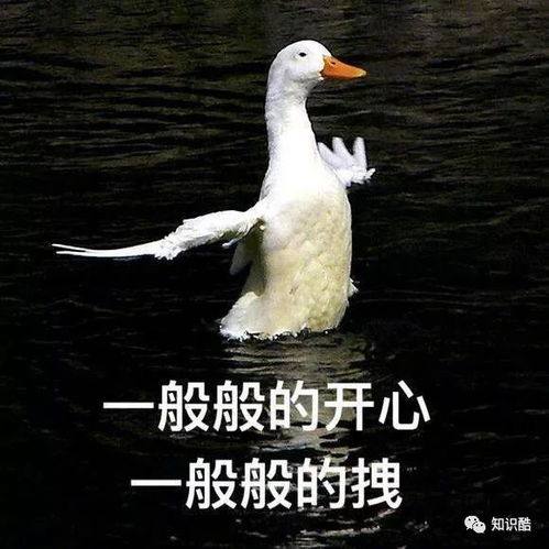 该拿的,还是得拿