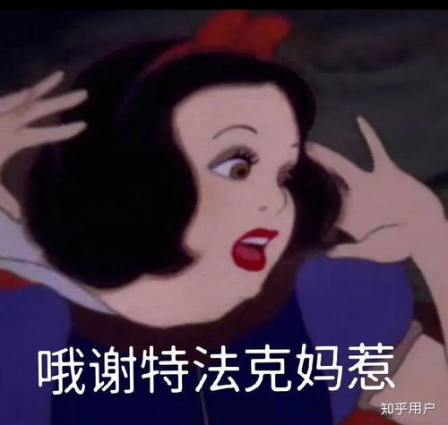 你们觉得博主和猫住怎么样