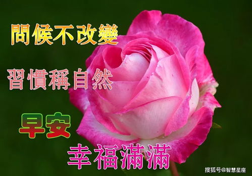 5.12夏天问候早上好图片带字动态表情夏天早上好问候祝福语录句子