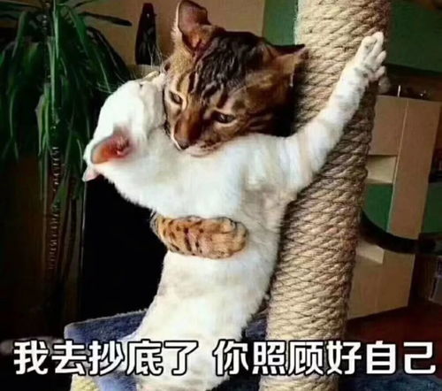 在汇率的海洋中翱翔还是挣扎
