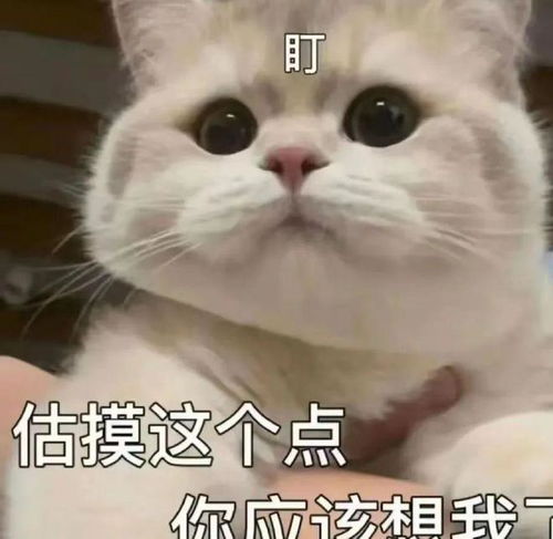 哪些星座最可能和灵魂伴侣在一起