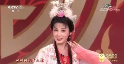 见过为我们的友谊干杯表情包吗那个女人上春晚了