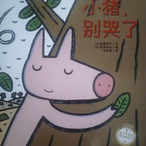 疯读小说可以音量键翻页吗
