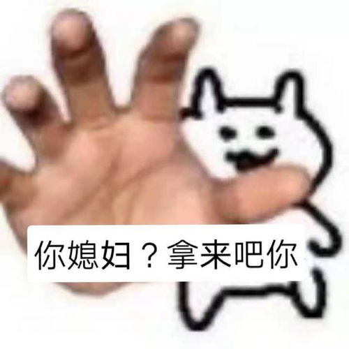 拿来吧你表情包