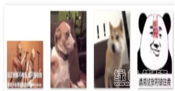 你们有没有考虑过鸭鸭的感受qq表情包搞笑沙雕表情素材v1.0