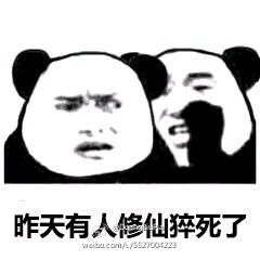 不睡觉要修仙表情图片搞笑版下载不睡觉修仙表情包带文字版下载飞翔下载