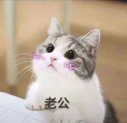 手机游戏最新游戏问答最新最热门安卓手机游戏问答乐单机游戏网