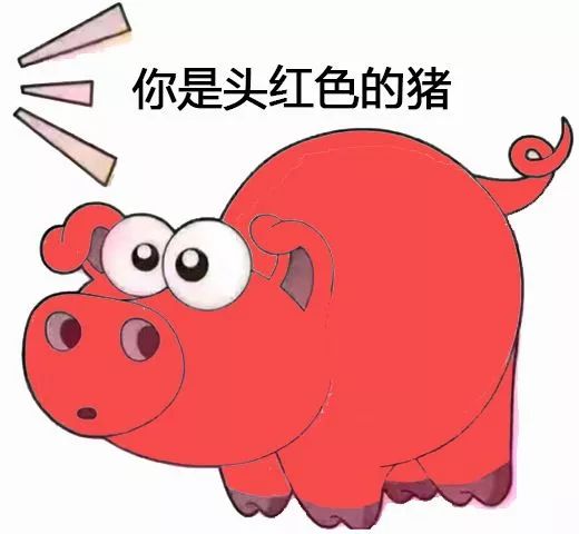 最全的猪