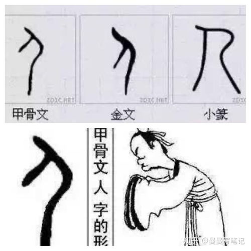 哲学人的本质是什么