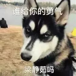 表情包抖音很火的满屏爱心表情