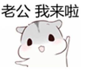 撩汉表情包别的小朋友都回家了,你什么时候来接我