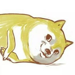 让文明养犬成为新风尚