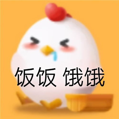 表情包蚂蚁庄园小鸡的可爱聊天表情