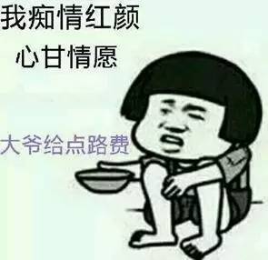 求解答的表情包图片文案