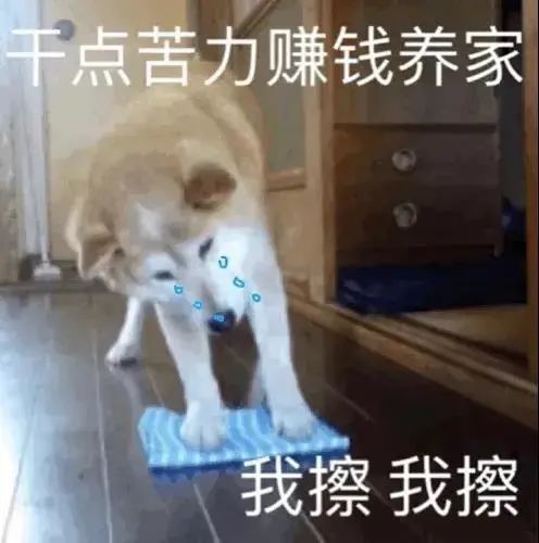 表情包等我来在开始