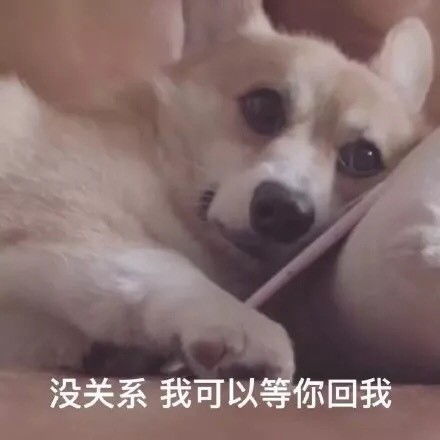 文案王者荣耀怼人语录