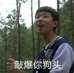 狗头表情包狗头微信表情包狗头qq表情包发表情fabiaoqing.com