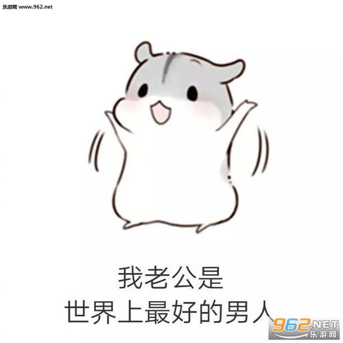 老公我错了表情图片仓鼠哄男朋友表情包下载乐游网游戏下载