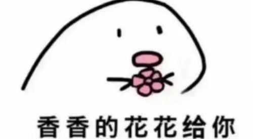 最新地方政府满意度排名来了肇庆这个区位列全省前五