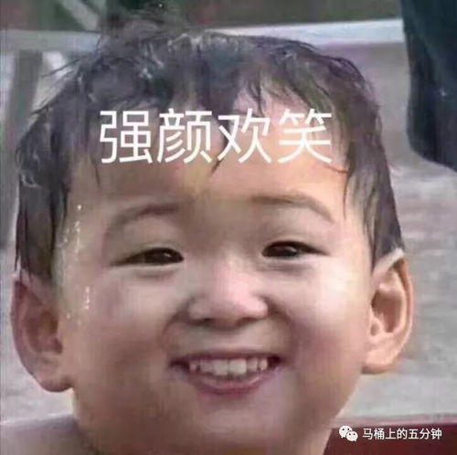 马桶上图个乐