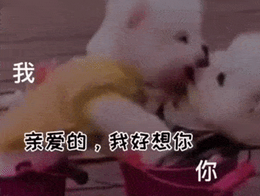 表情包我好想你