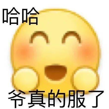 教你如何一招治你家的猫咪哈哈哈哈哈夺笋呐