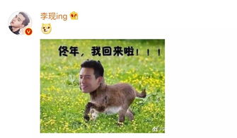 李现一招手,全是现女友