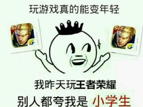 王者荣耀哪个段位坑货数量最多青铜白银无奈,王者看了笑出声