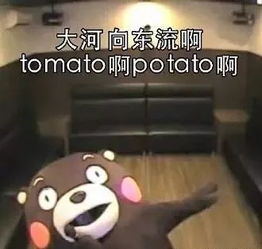 那些支撑我活下去的表情包系列一