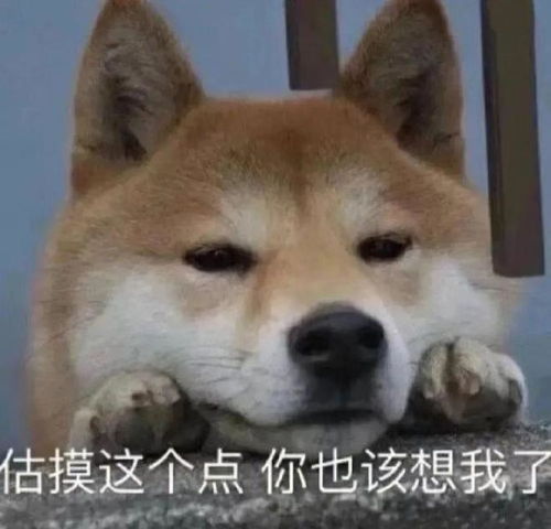 有本事找到超高颜值配偶的星座,实名羡慕了