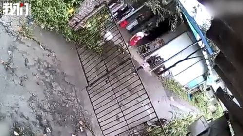 表情嫁对了地震瞬间,丈夫逆行拉上妻一起跑我们的爱情很简单四川宜宾5.6级地震表情