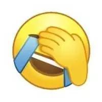 捂脸表情包是什么意思